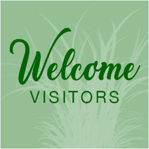 Welcome Visitors
